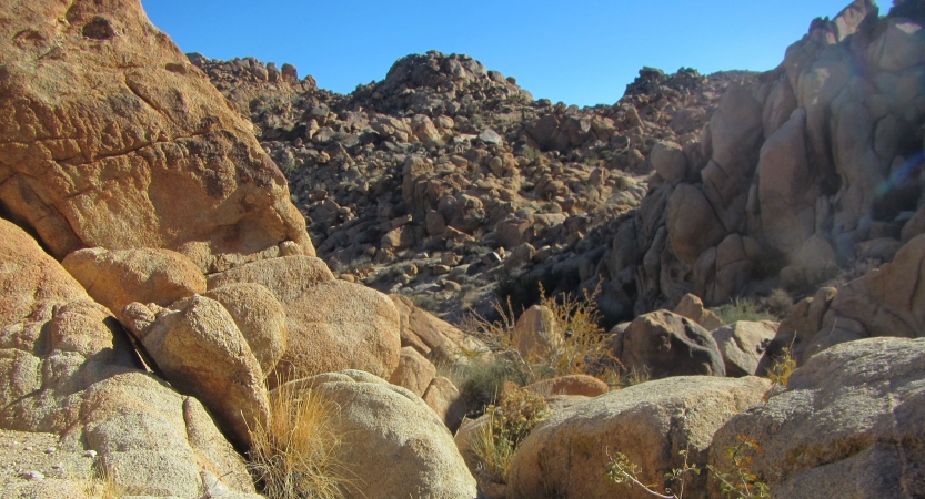 large boulders dot the landscape in joshua tree national park